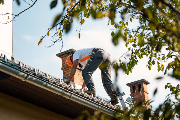 Best Commercial Roofing Services  in Clio, MI