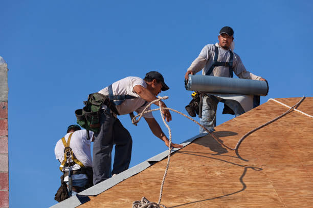 Gutter Installation and Roofing in Clio, MI