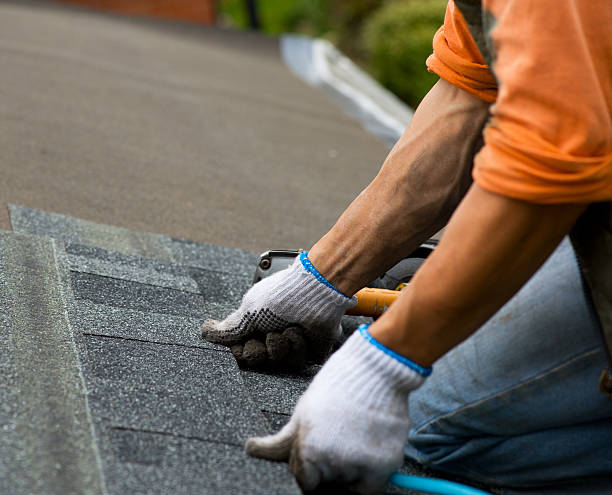 Roof Gutter Cleaning in Clio, MI