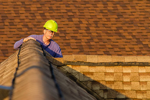 Best Roof Leak Repair  in Clio, MI